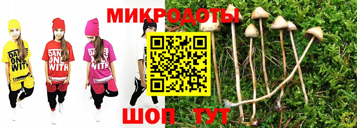 Псилоцибиновые грибы Psilocybe Хабаровск