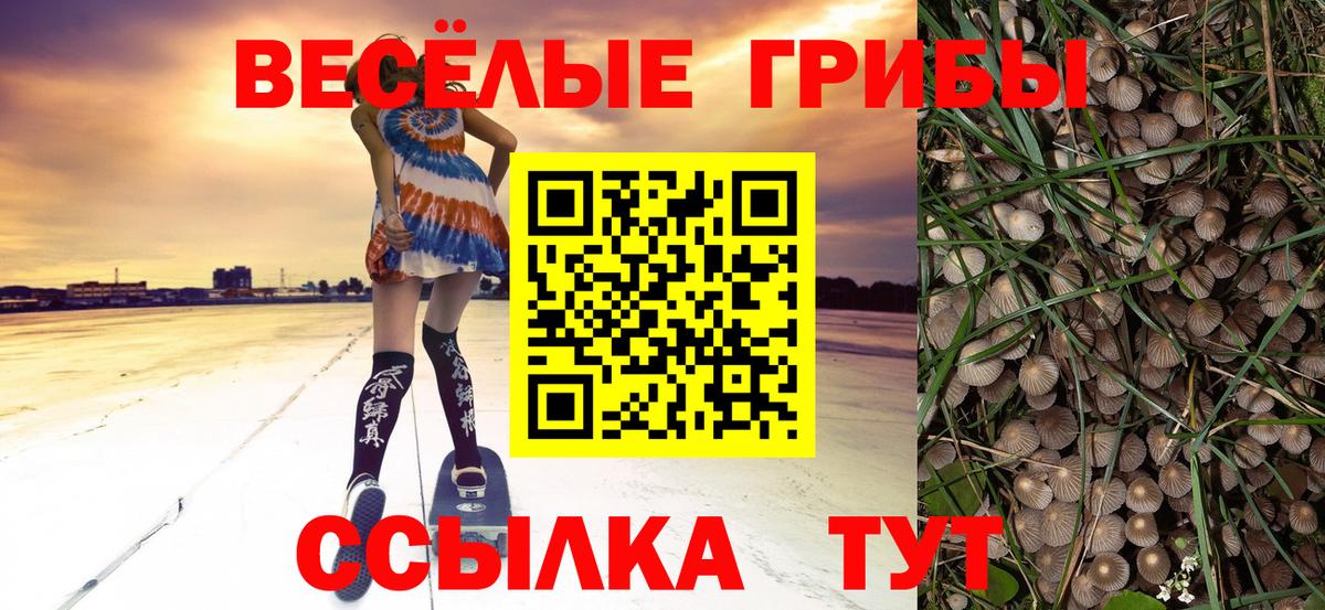 Хабаровск  Псилоцибиновые грибы Cubensis  Вход с VPN 